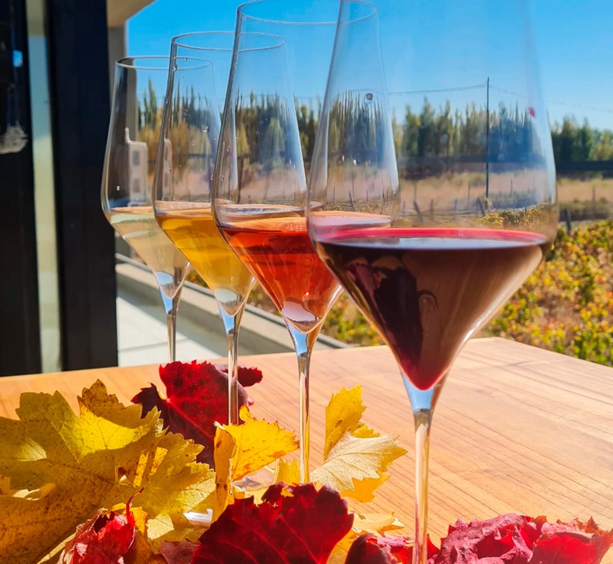 El enoturismo posiciona a Senillosa como destino vinícola en Neuquén
