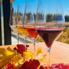 Imagen de Bodegas en Senillosa: Viñedos artesanales y vinos de Neuquén