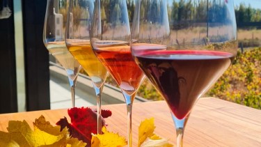 Bodegas en Senillosa: Viñedos artesanales y vinos de Neuquén