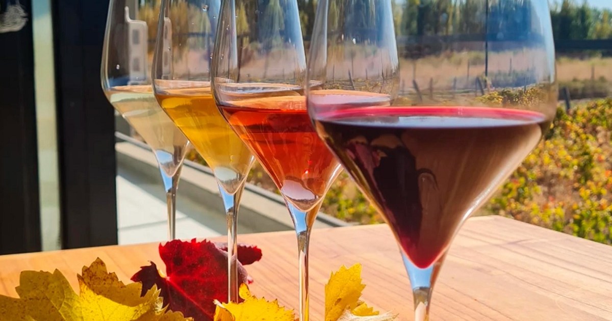 El enoturismo posiciona a Senillosa como destino vinícola en Neuquén