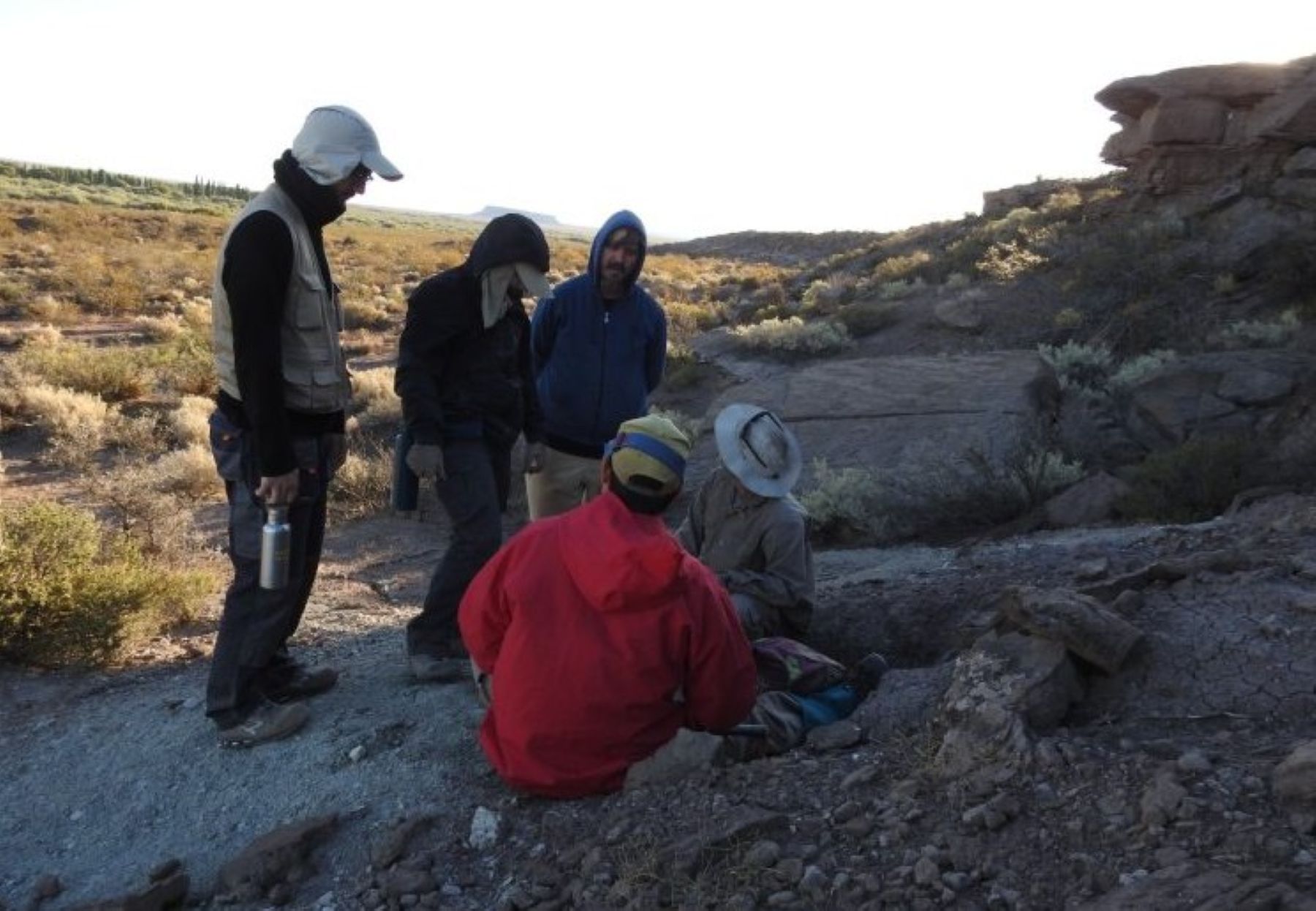Descubren un bosque petrificado en Neuquén que revela su pasado de hace 100 millones de años