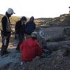 Imagen de Así era Neuquén hace 100 millones de años: los secretos que reveló un bosque petrificado