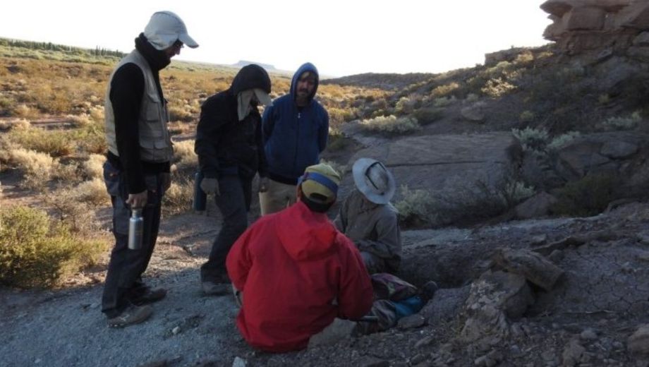 El Bosque Petrificado de El Sauce revela còmo era Neuquén hace 100 millones de años. Foto: Prensa UNCo. 