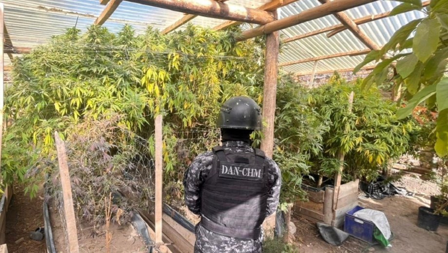 Confirman la prisión domiciliaria para el principal acusado del secuestro récord de marihuana en Chos Malal