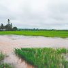 Imagen de Lluvias intensas y riesgo para los cultivos: El Niño golpea con fuerza al sur de Brasil en el límite con Argentina