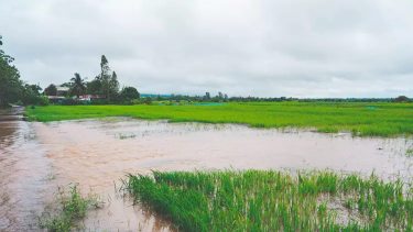 Lluvias intensas y riesgo para los cultivos: El Niño golpea con fuerza al sur de Brasil en el límite con Argentina
