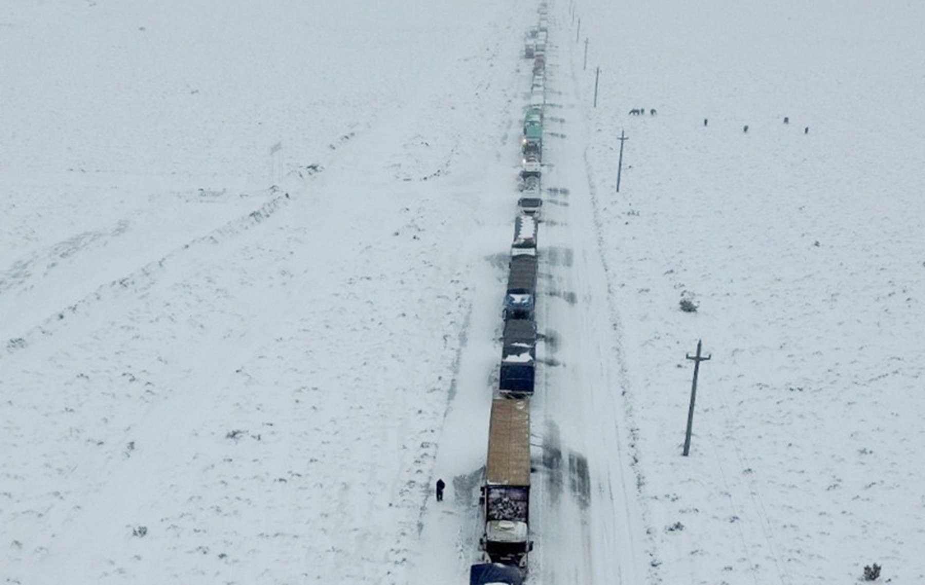Camiones varados en Neuquén: avanzan en tandas desde Zapala y se descomprime el corredor hacia Pino Hachado