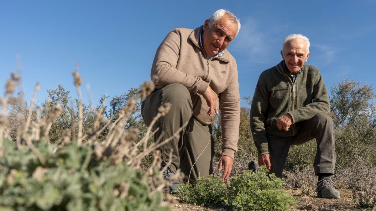 Gustavo Cervera junto a su padre, con quien comparte la historia de un campo familiar que atraviesa casi un siglo de producción. Foto: Luciano Cutrera.