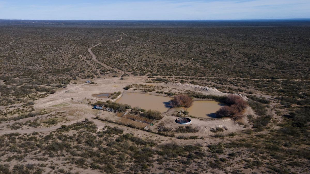 Uno de los tajamares permite almacenar alrededor de cinco millones de litros de agua. Foto: Luciano Cutrera.