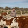 Imagen de Recibió un campo de 21.000 hectáreas que "no daba plata", cambió la forma de manejarlo y hoy enfrenta la sequía en el desierto de la Patagonia