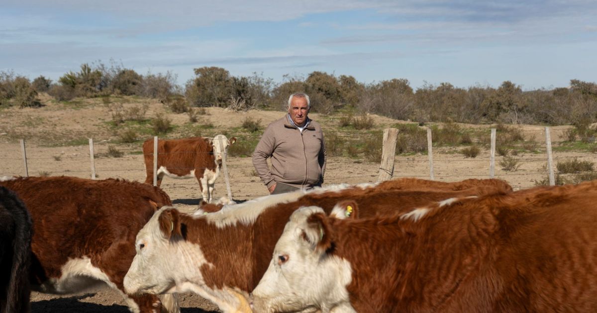 Recibió un campo de 8,4 leguas que "no daba plata", cambió la forma de manejarlo y hoy enfrenta la sequía en el desierto de la Patagonia