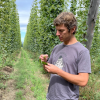 Imagen de El lúpulo de El Bolsón llegó a Inglaterra para crear una cerveza con identidad argentina