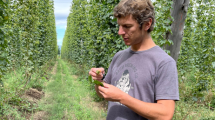 Imagen de El lúpulo de El Bolsón llegó a Inglaterra para crear una cerveza con identidad argentina