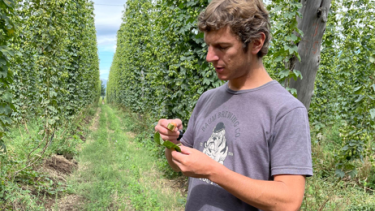El lúpulo de El Bolsón llegó a Inglaterra para crear una cerveza con identidad argentina