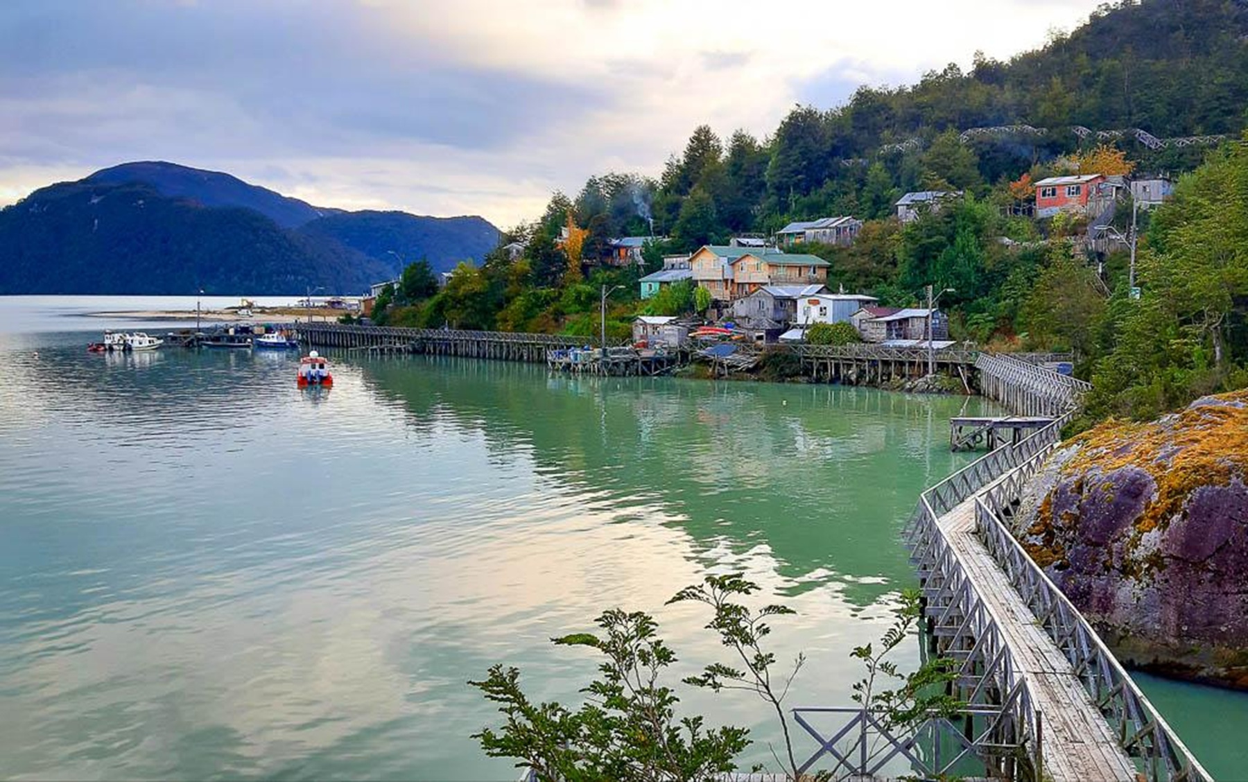 Caleta Tortel: un pueblo patagónico sin calles ni autos, conectado por pasarelas de madera
