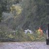 Imagen de Tragedia en Chile: murieron un bombero y su mujer embarazada al ser aplastados por un árbol durante el temporal