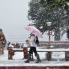 Imagen de Alerta por nieve en Río Negro este miércoles 12 de agosto: cuáles son las zonas afectadas y los peores horarios