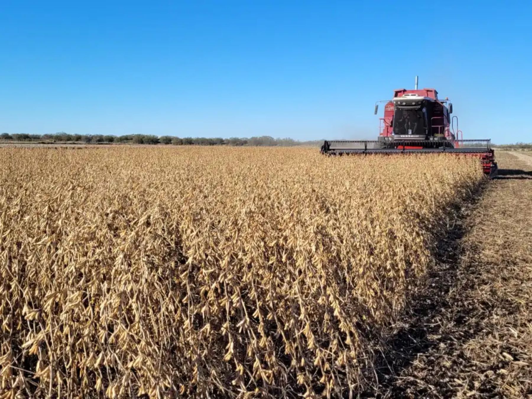 El agro podría aportar más de US$ 4.600 millones en retenciones