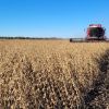 Imagen de Retenciones: estiman que el agro aporte más de US$ 4.600 millones gracias al volumen de exportaciones