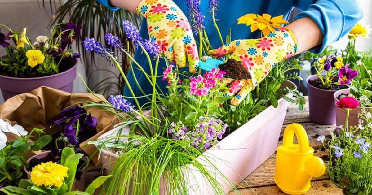Cinco recomendaciones para preparar tus plantas antes de la primavera