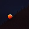 Imagen de "Luna de Sangre": a qué hora y cómo ver el eclipse lunar del 28 de agosto en Argentina