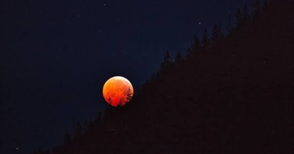 Luna de Sangre: cuándo y cómo observar el eclipse lunar en Argentina