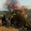 Imagen de Día Mundial de la Prevención de Incendios Forestales: cómo evitar qué sucedan