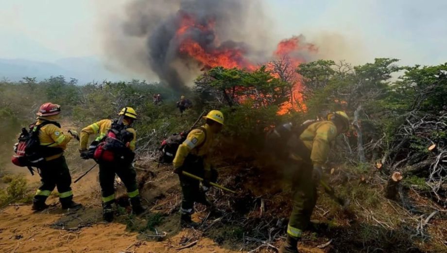 Hoy es el Día Mundial de la Prevención de Incendios Forestales. Foto: NA/ Ministerio de Seguridad bonaerense. 