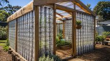 Imagen de Juntaron más de 2.000 botellas de plástico y las convirtieron en un invernadero para cultivar todo el año