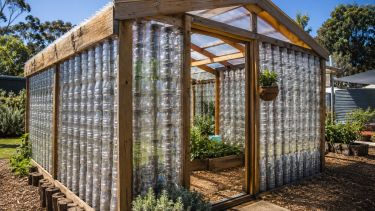 Juntaron más de 2.000 botellas de plástico y las convirtieron en un invernadero para cultivar todo el año