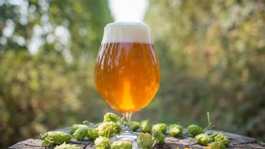 IPA day 2026: Cómo la cerveza artesanal transforma un evento global en negocio local