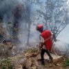 Imagen de Se estrelló un helicóptero en Kenia: siete muertos, entre ellos el jefe de Inteligencia de Ecuador