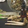 Imagen de Marihuana y jóvenes: qué dice la ciencia sobre sus efectos en el cerebro y la salud mental