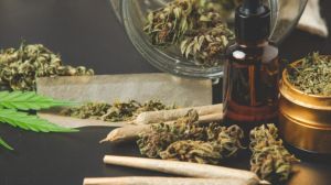Marihuana y jóvenes: qué dice la ciencia sobre sus efectos en el cerebro y la salud mental