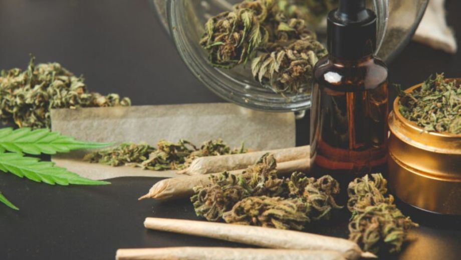 Marihuana y jóvenes: qué dice la ciencia sobre sus efectos en el cerebro y la salud mental