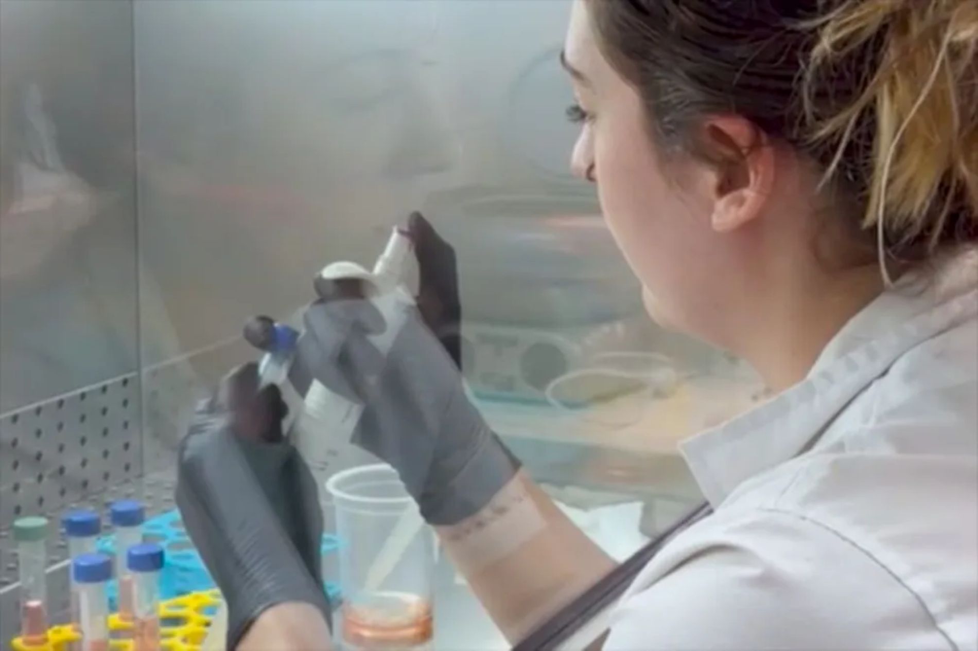 Aumento de mujeres en la ciencia en Neuquén, pero persisten desigualdades