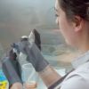 Imagen de Más mujeres en la ciencia neuquina: el desafío pendiente está en los espacios de decisión