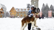 Imagen de Martes con acumulación de nieve en todo Bariloche: sin clases y tránsito con uso de cadenas obligatorio
