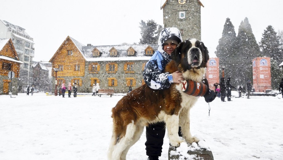 La nieve se acumuló en todos los sectores de la ciudad, incluso el Centro Cívico. Foto: Chino Leiva