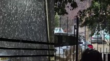 Imagen de Llegó la nieve al Alto Valle: cayeron copos en Neuquén, Plottier y Cinco Saltos tras una jornada de intensas lluvias