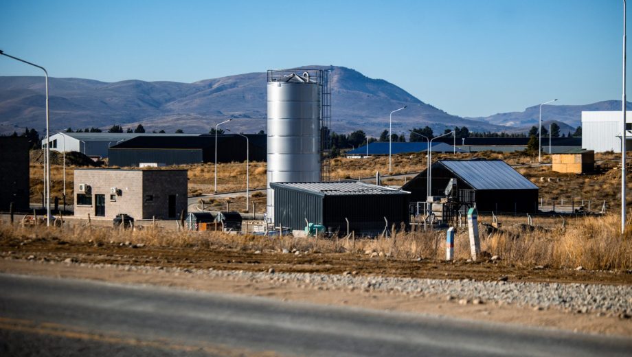 El primer encuentro se realizó de manera virtual. Foto: Gobierno de Río Negro.