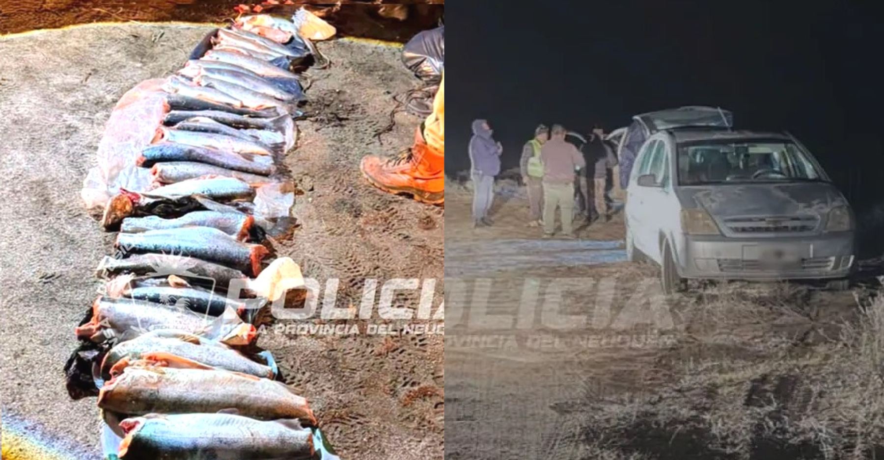 Multan a tres pescadores en Piedra del Águila por exceder el cupo de truchas