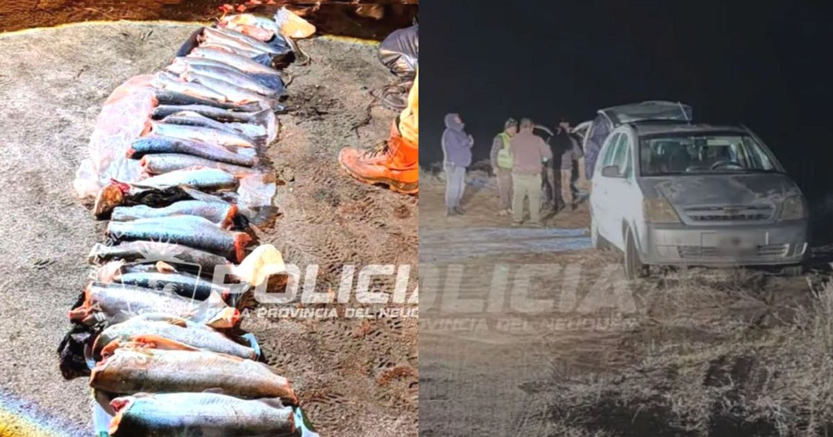 Multan a tres pescadores en Piedra del Águila por exceder el cupo de truchas