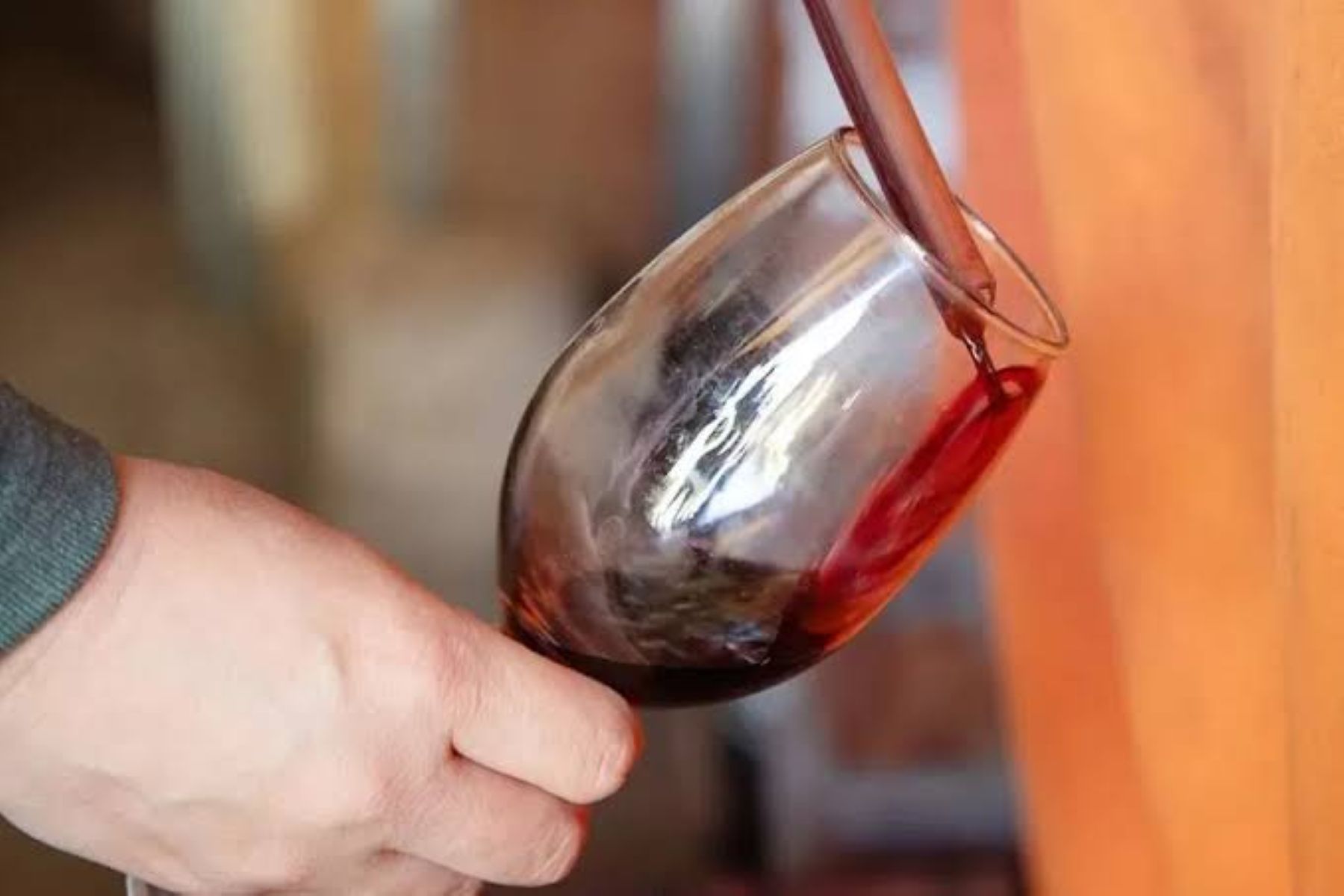 Semana del Pinot: Neuquén celebra con descuentos en restaurantes, gastronomía y experiencias