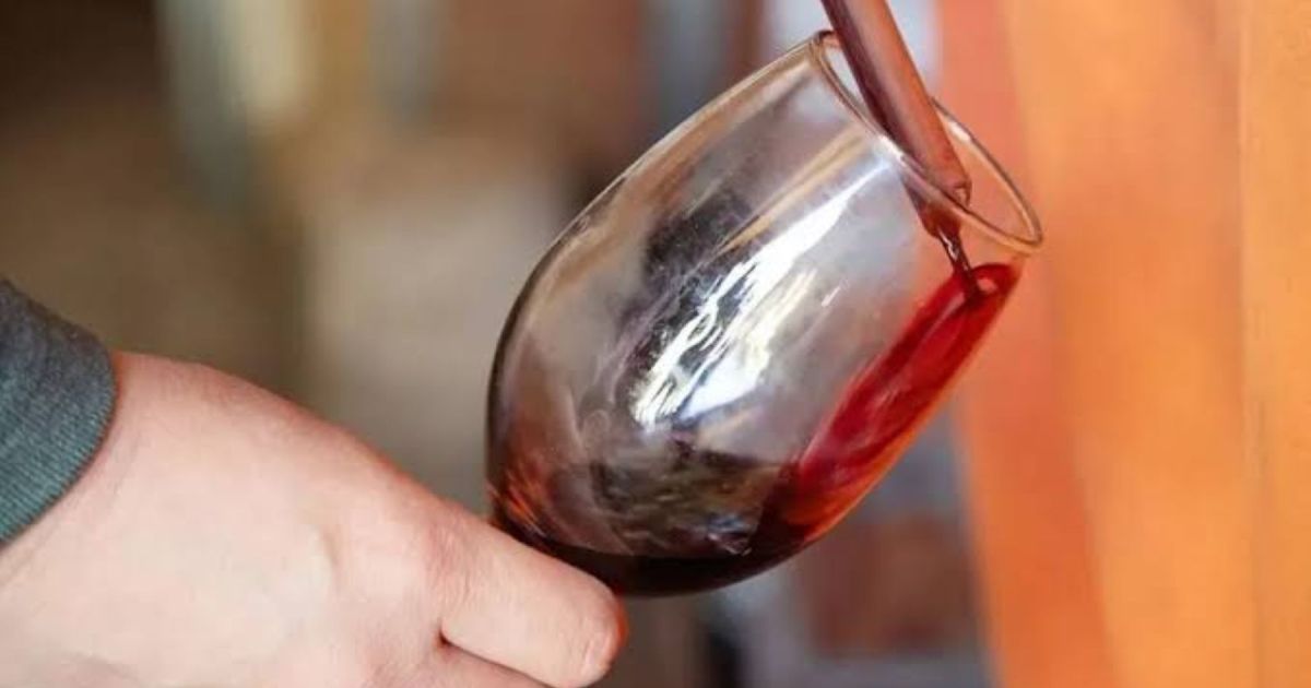 Semana del Pinot: Neuquén celebra con descuentos en restaurantes, gastronomía y experiencias