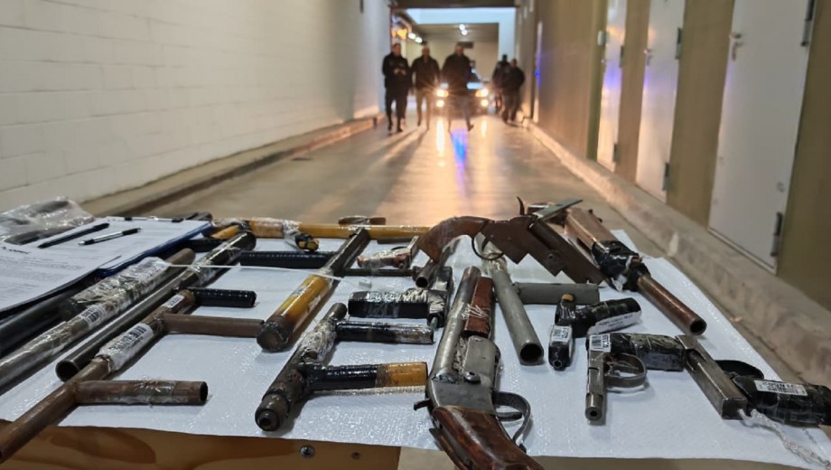Destruirán 800 armas de fuego, tumberas y municiones que fueron secuestradas en Neuquén  