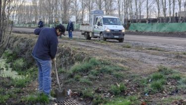 Cipolletti ejecuta un plan de emergencia tras el temporal de lluvia: «Hay que tener paciencia», dijo Buteler
