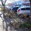 Imagen de Viedma licita un servicio para reforzar la recolección de ramas durante la temporada de poda