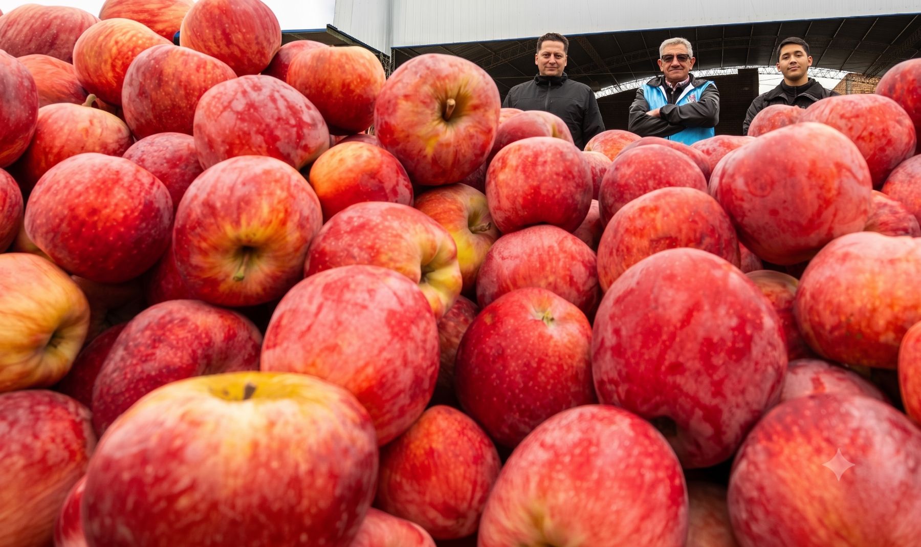 De una chacra de cinco hectáreas a 4 millones de kilos de fruta anuales