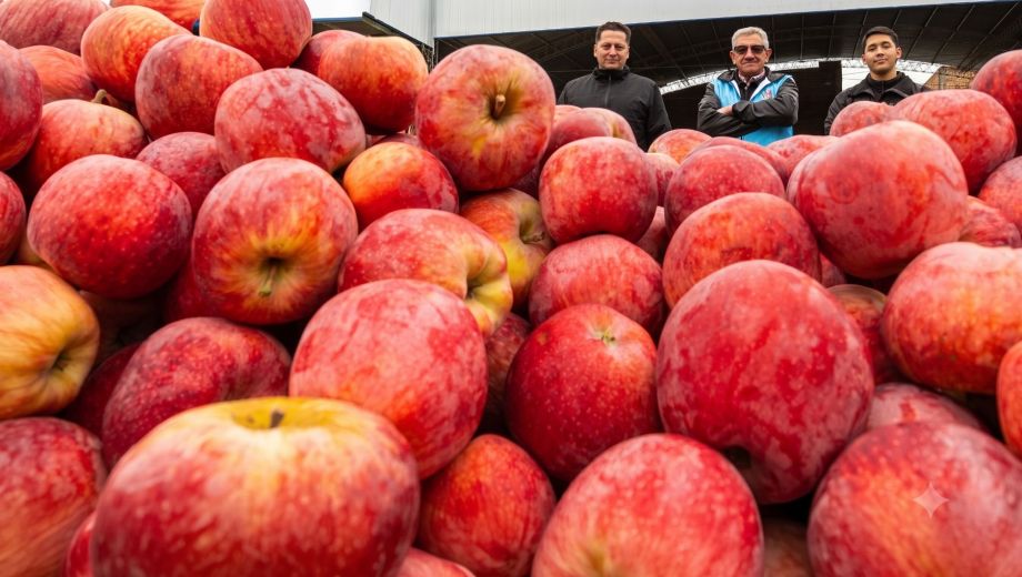 La fruticultura forma parte de la familia hace décadas, pero la empresa comenzó a consolidarse a partir del 2000. Foto: Alejandro Carnevale. 